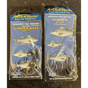 Aqua-Clear ST-8 Striped Bass High/Low Casting Rig And Seven Circle Hooks